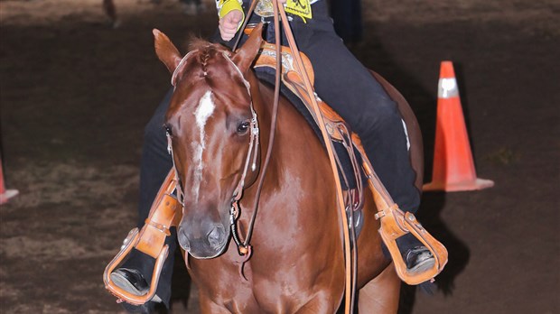 Sorel-Tracy accueille les meilleurs cavaliers westerns au Québec